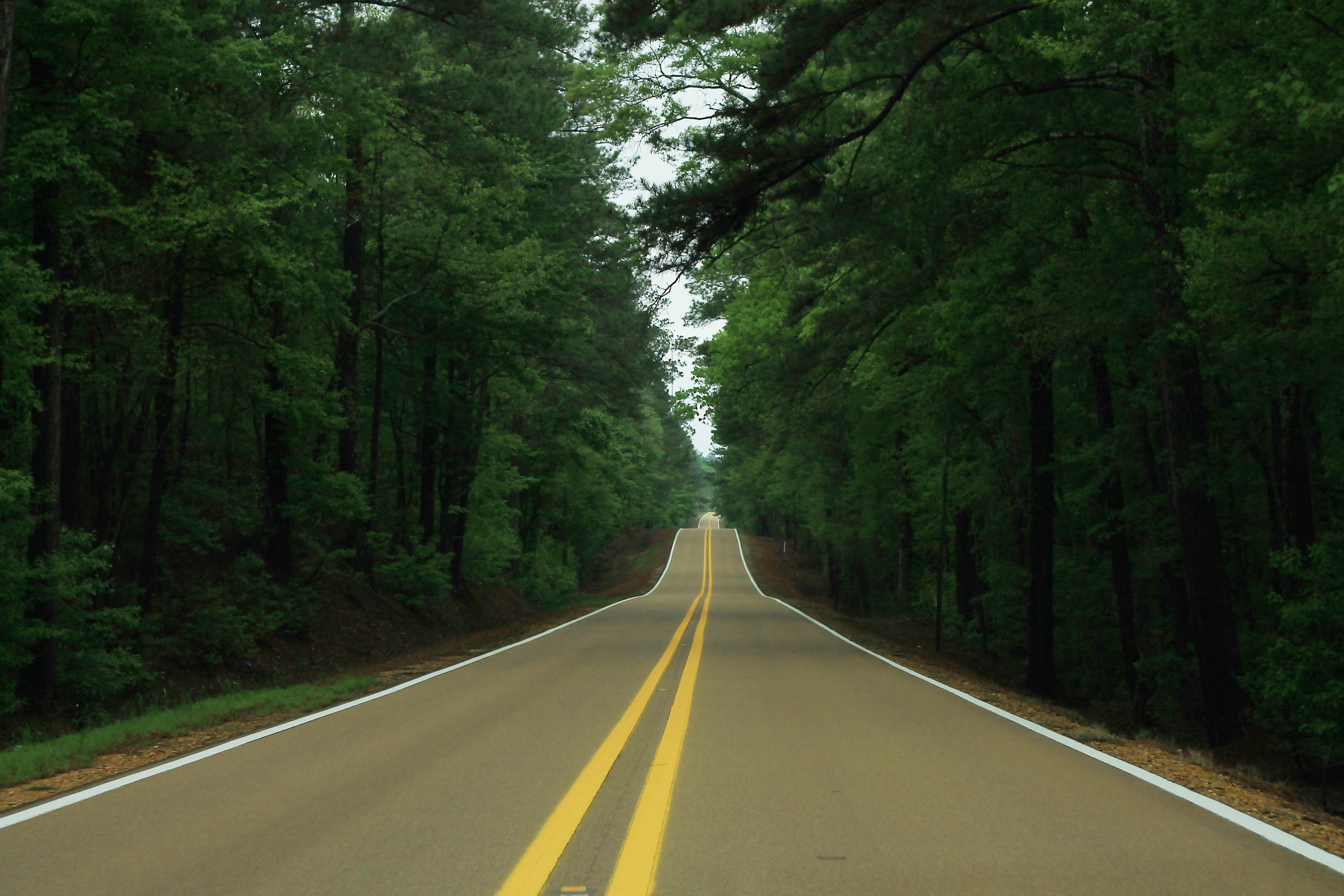 MS14_West_-_Forest_Route_West_of_Louisville_(40996565195).jpg