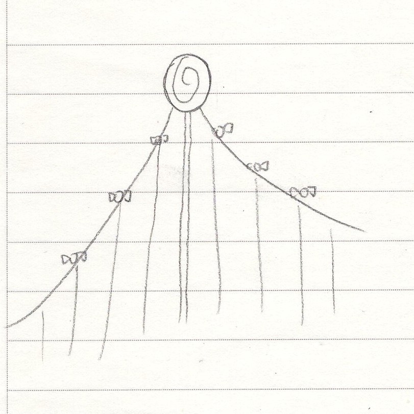 7975.jpg