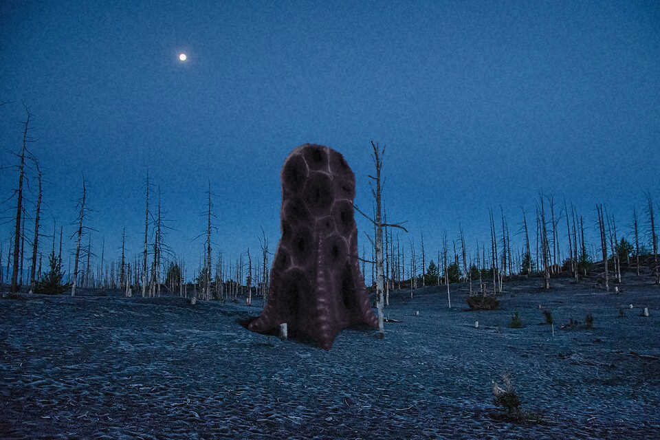 terrasite.jpg