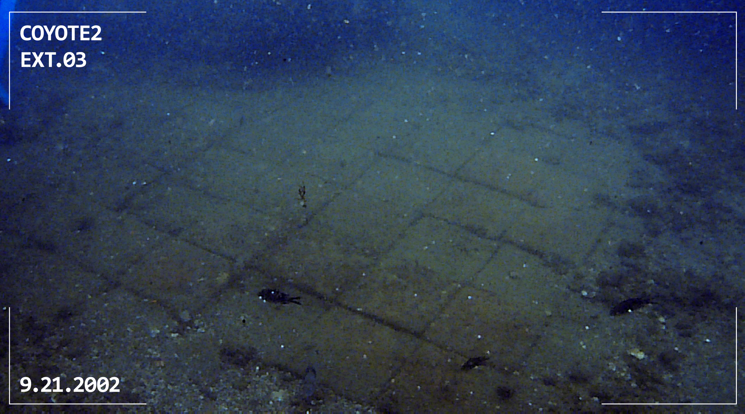 FloorOverlay.png