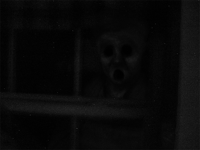 window.jpg