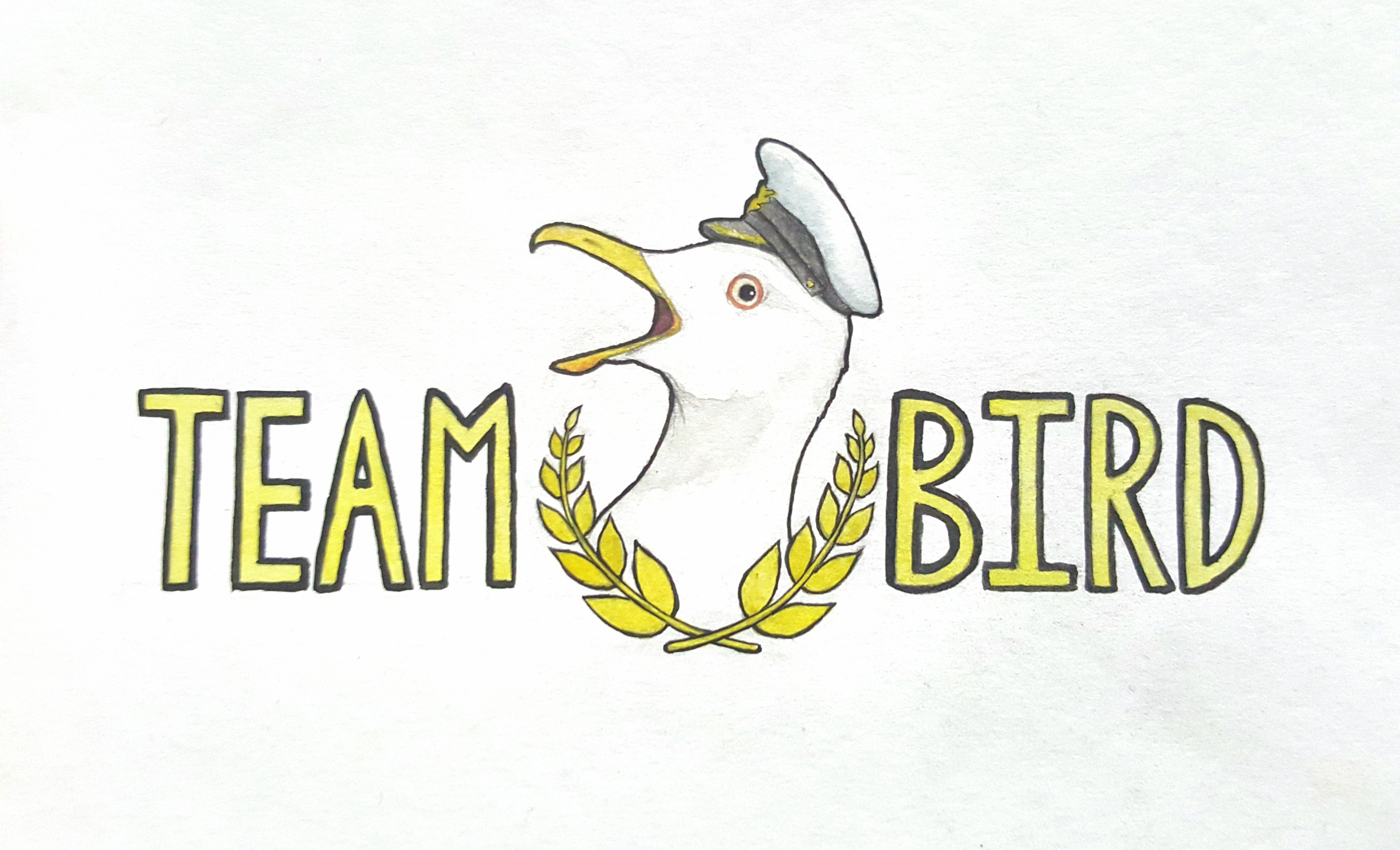 teambird2.jpg