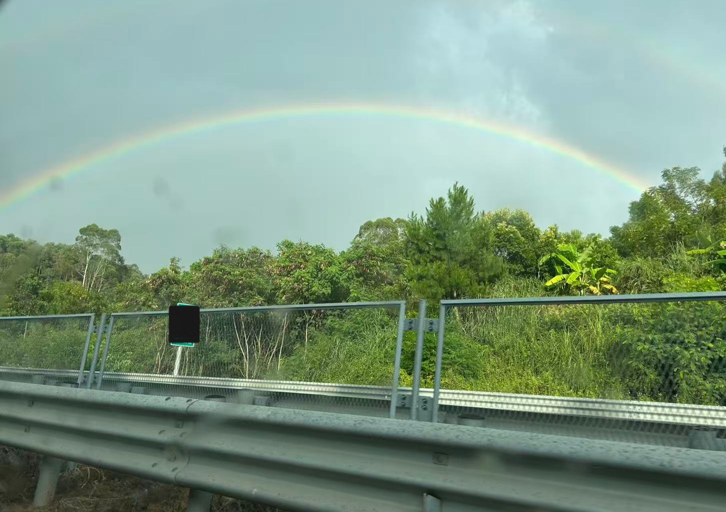 rinbow