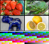 color.png