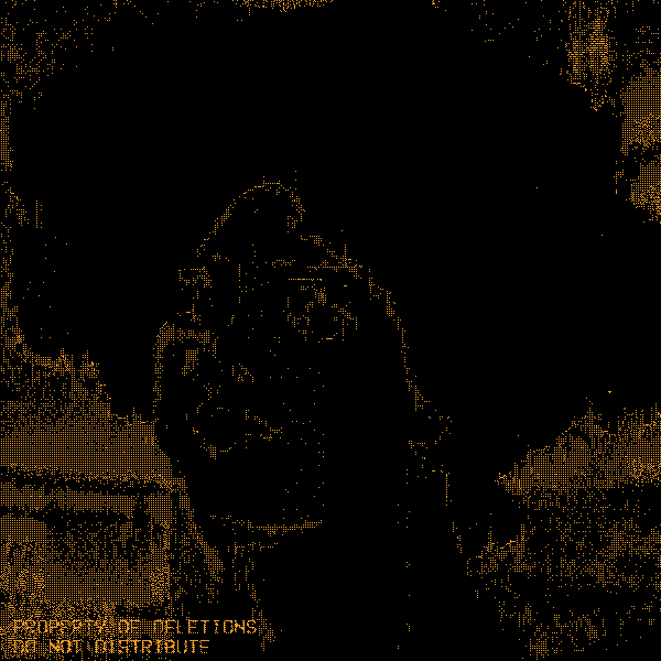 noise2.gif