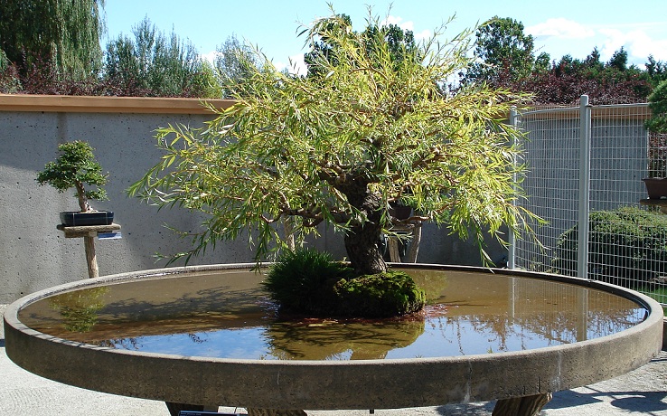 B5.JPG