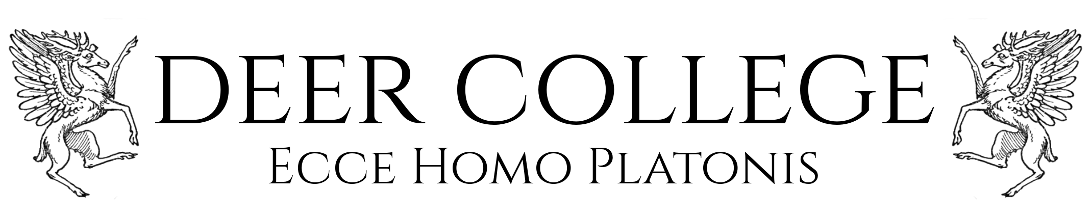 IMG_3486.png