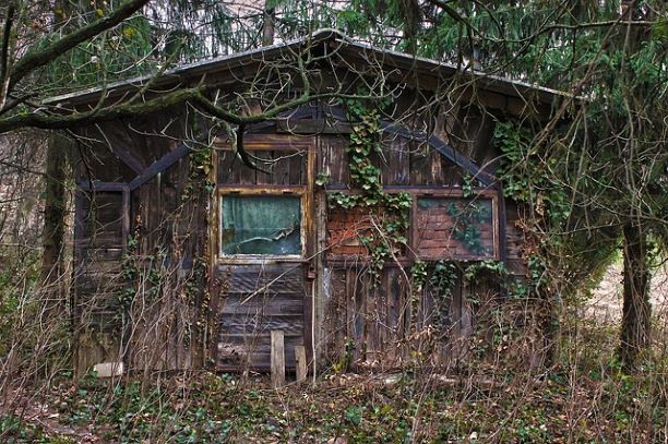 LogCabin.jpg