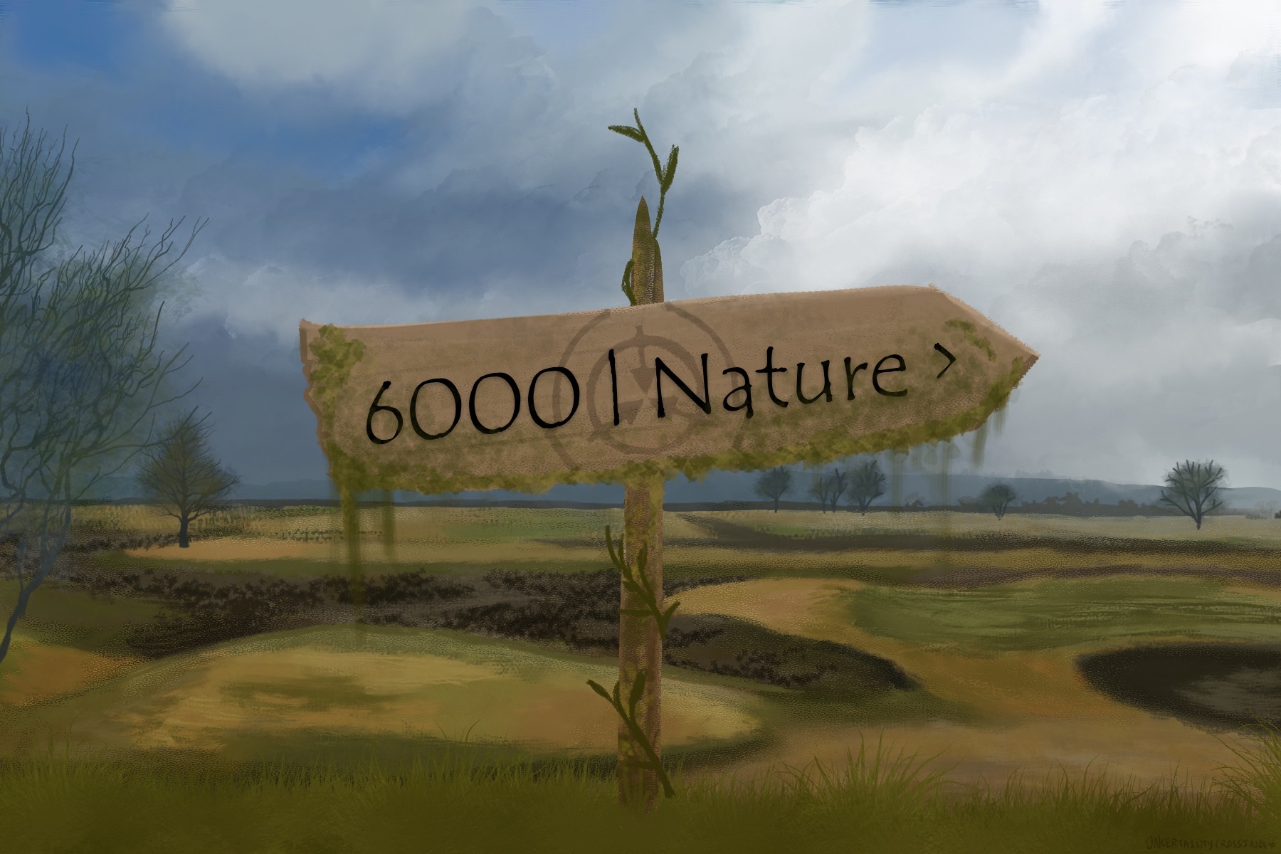 nature.jpg