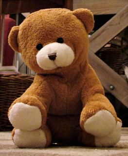 s_Nalle_is_a_small_brown_teddy_bear.jpg
