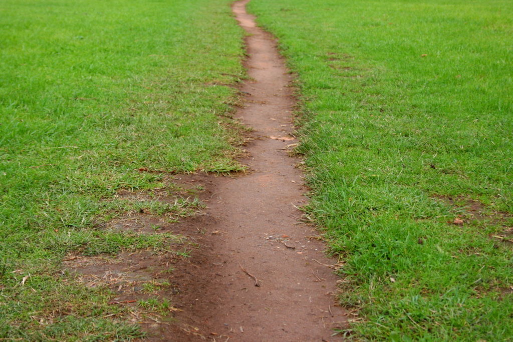 path.jpg