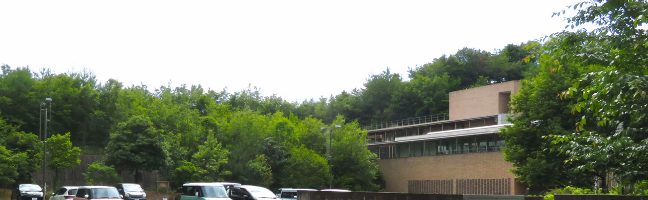 ForestCenter.png