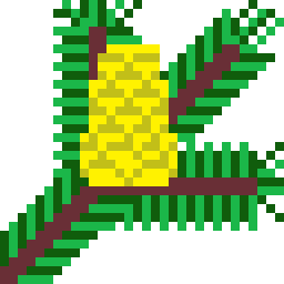 Fir