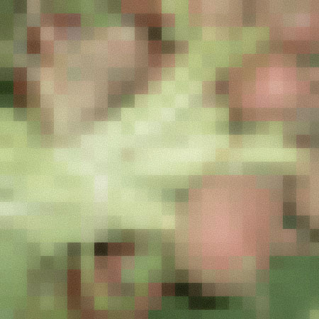 veggies.jpg