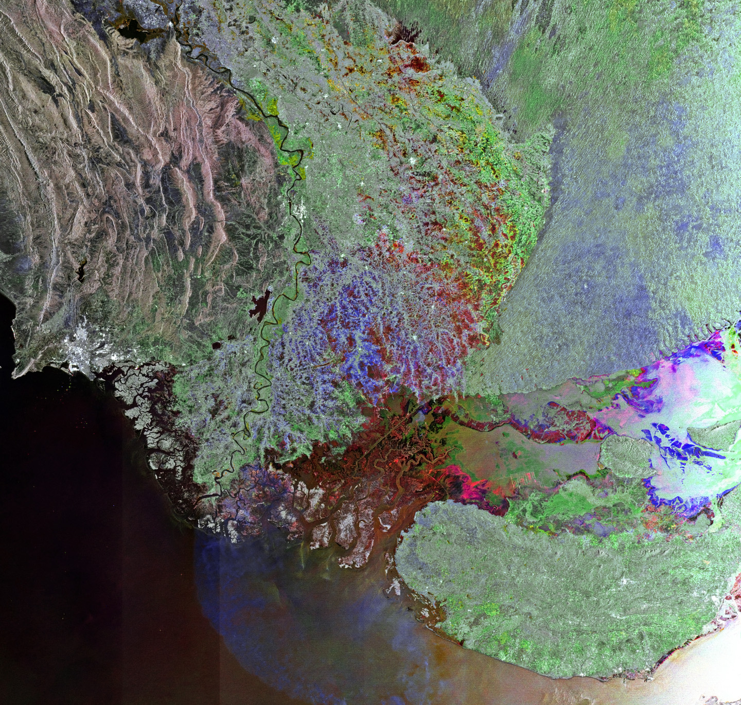 Indus_River_-_Envisat.jpg