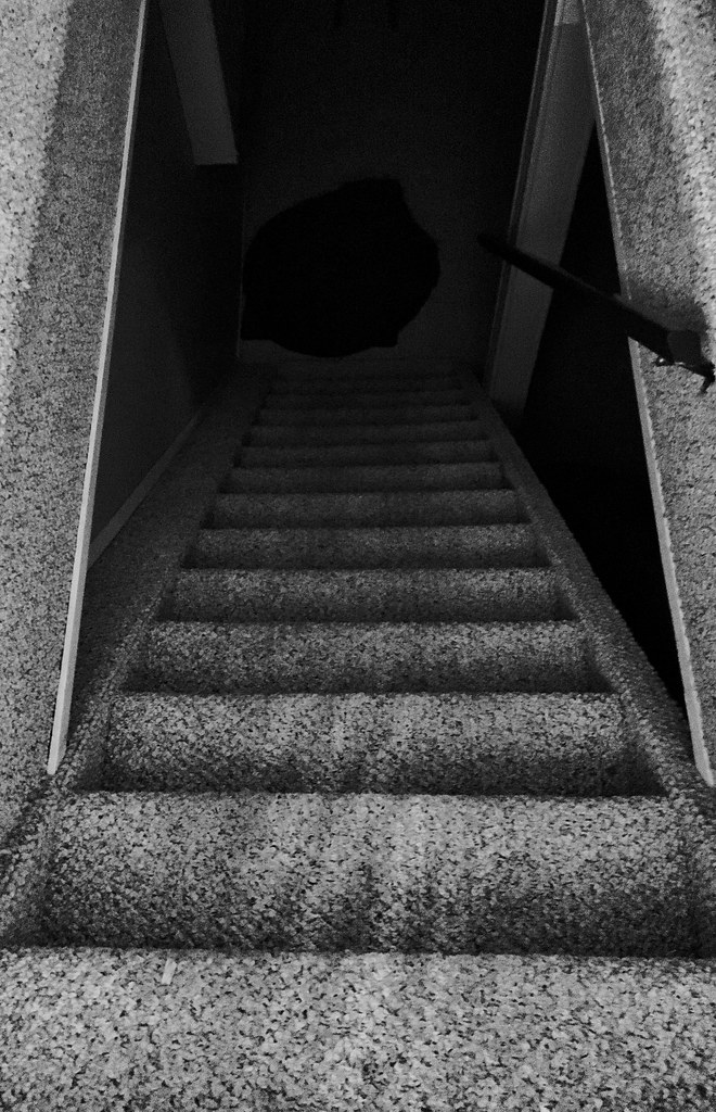 scp_6618_JFRGQ5M.jpeg