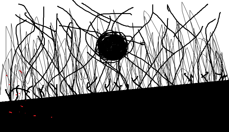 白桦林.png