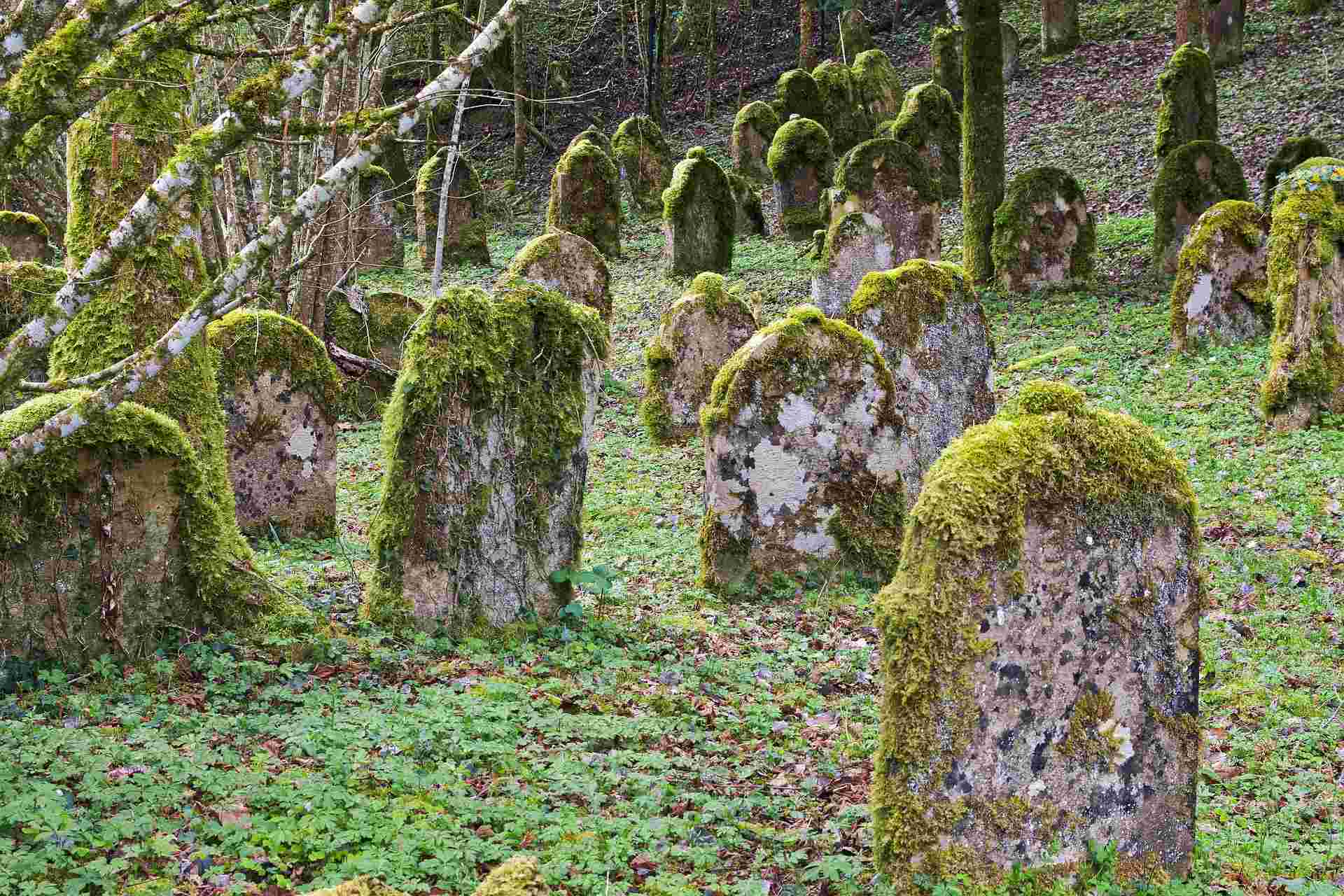 paul_henri-tombstones-3321026_1920.jpg