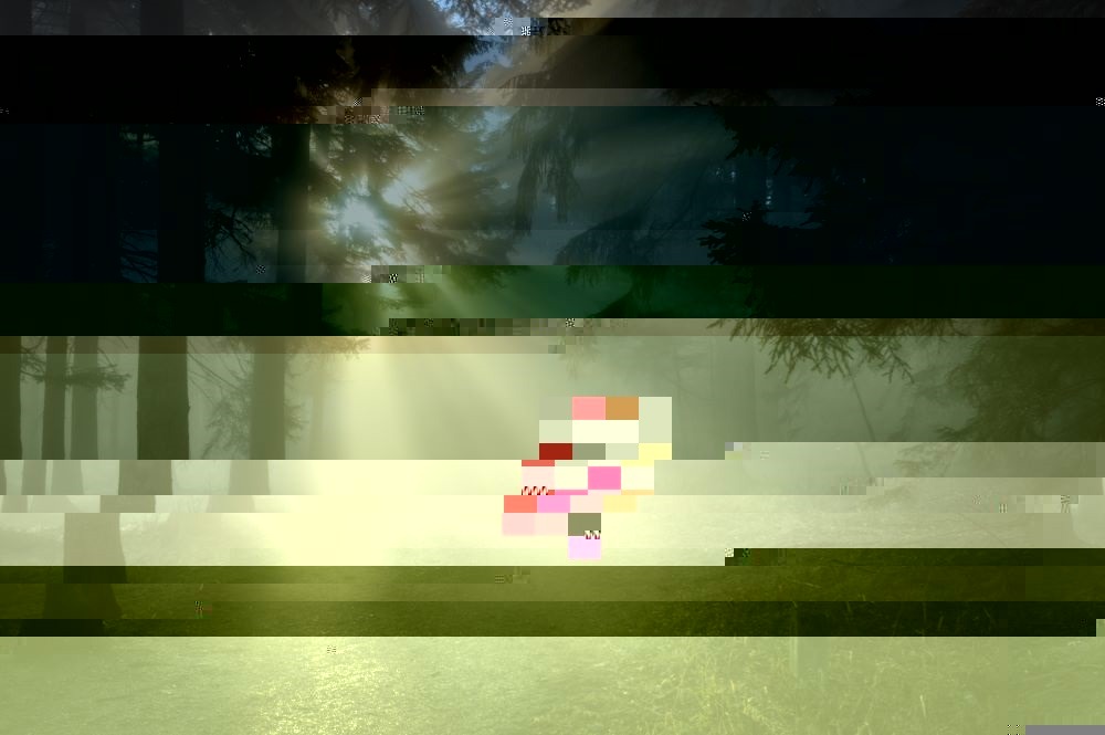 glitched_1588686911.jpg