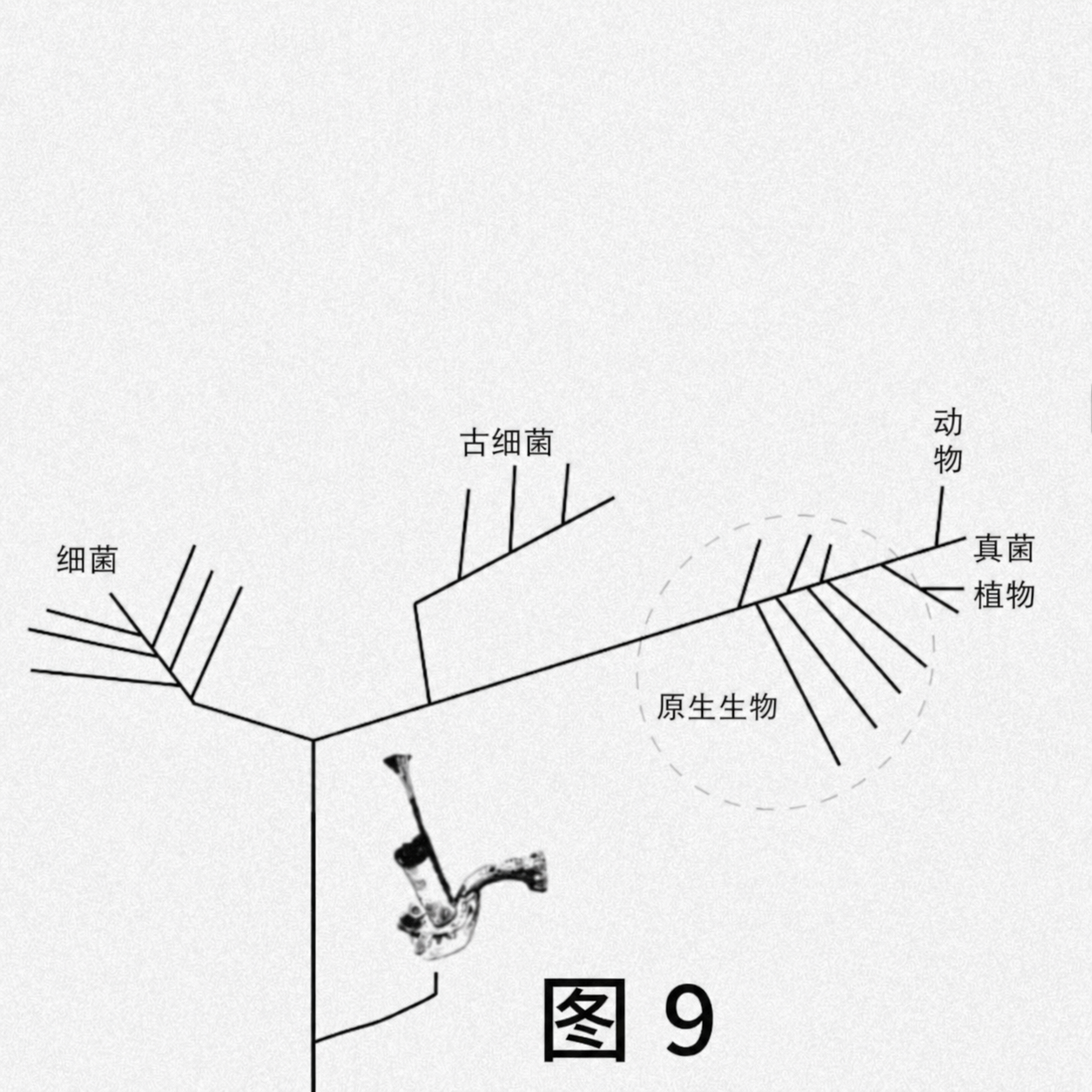 FIG9