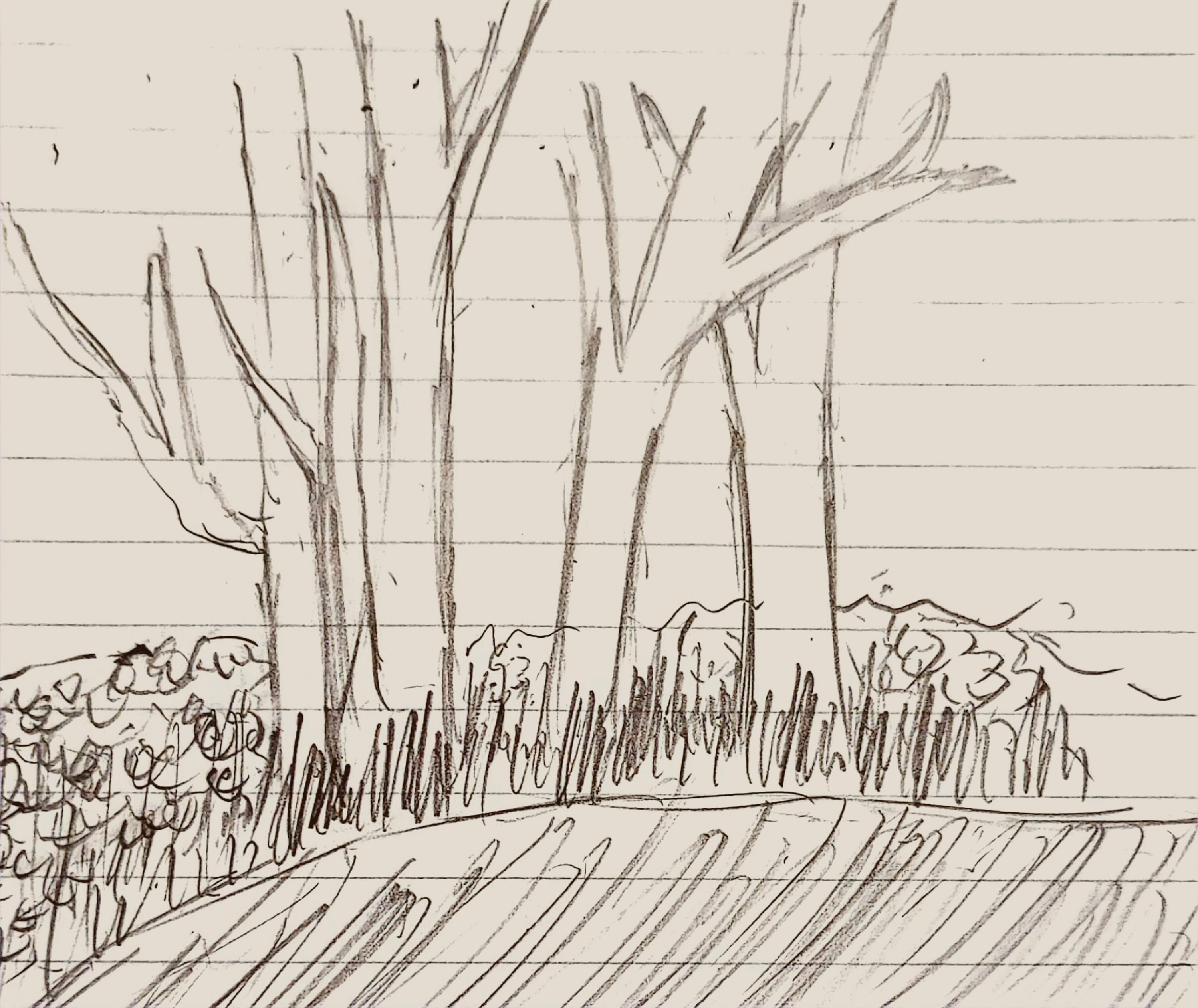 3797-4.png