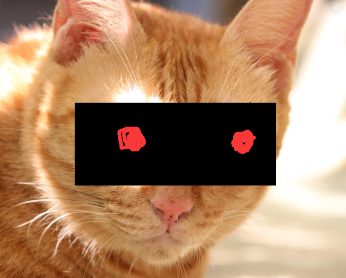 tom.png