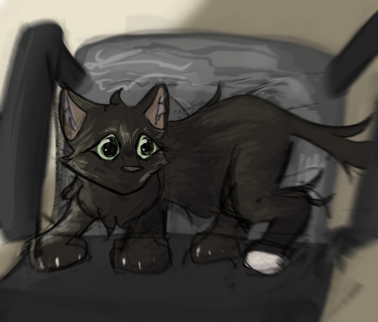 Kot.png