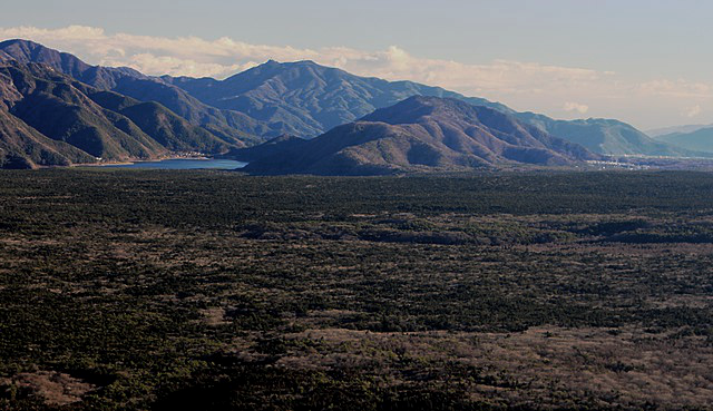 sea-of-trees.png