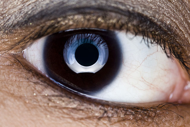 eye7.jpg
