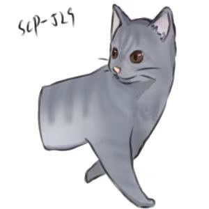 529.jpg
