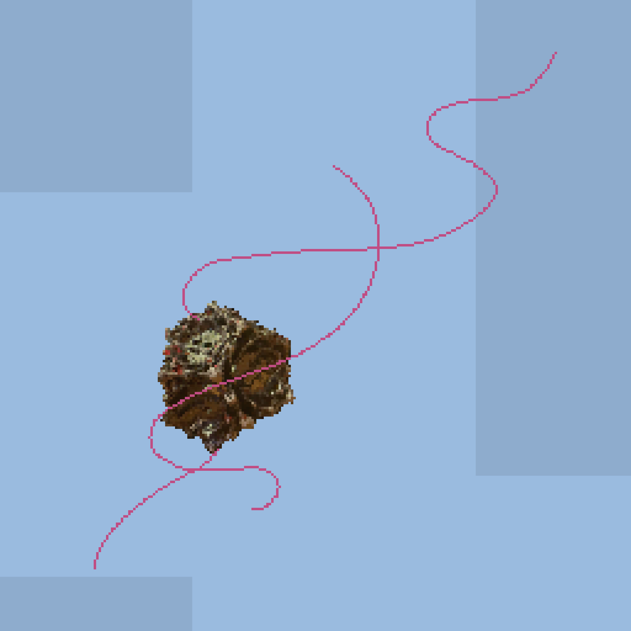Anny.png