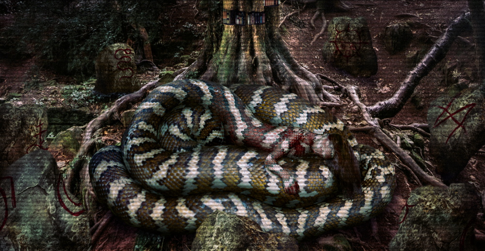 bigsnek.png