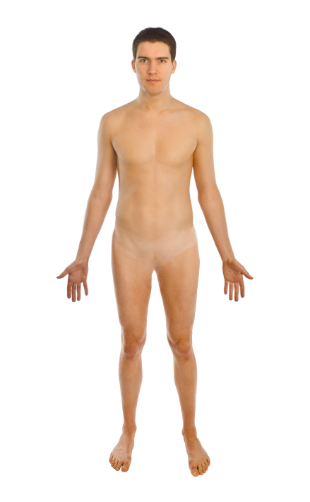 human.png