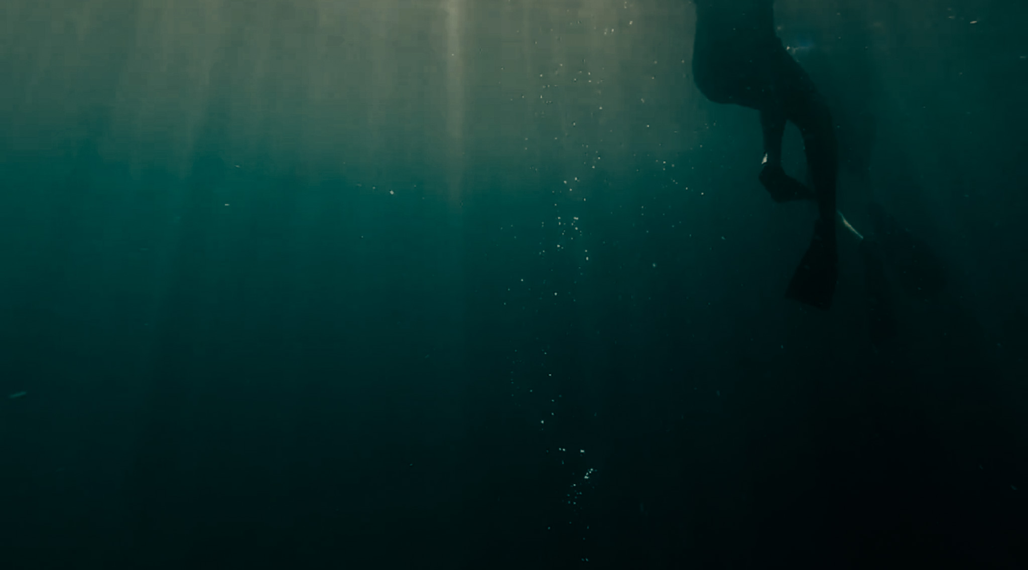 Ocean