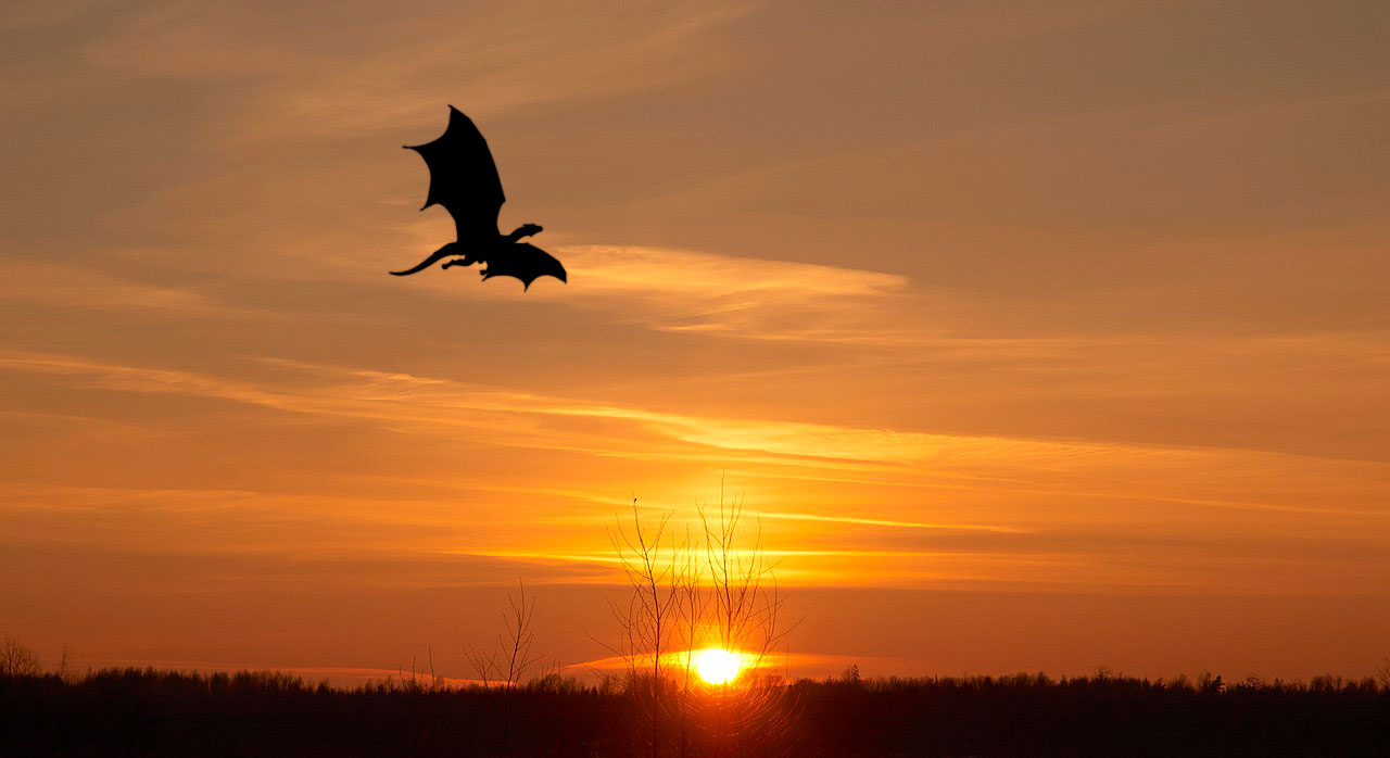 Sunset-Dragon.jpg