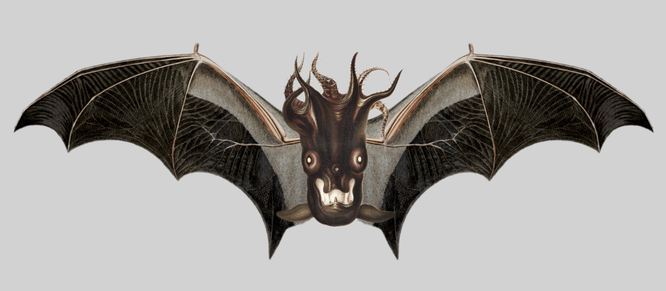 WingDingz.jpeg