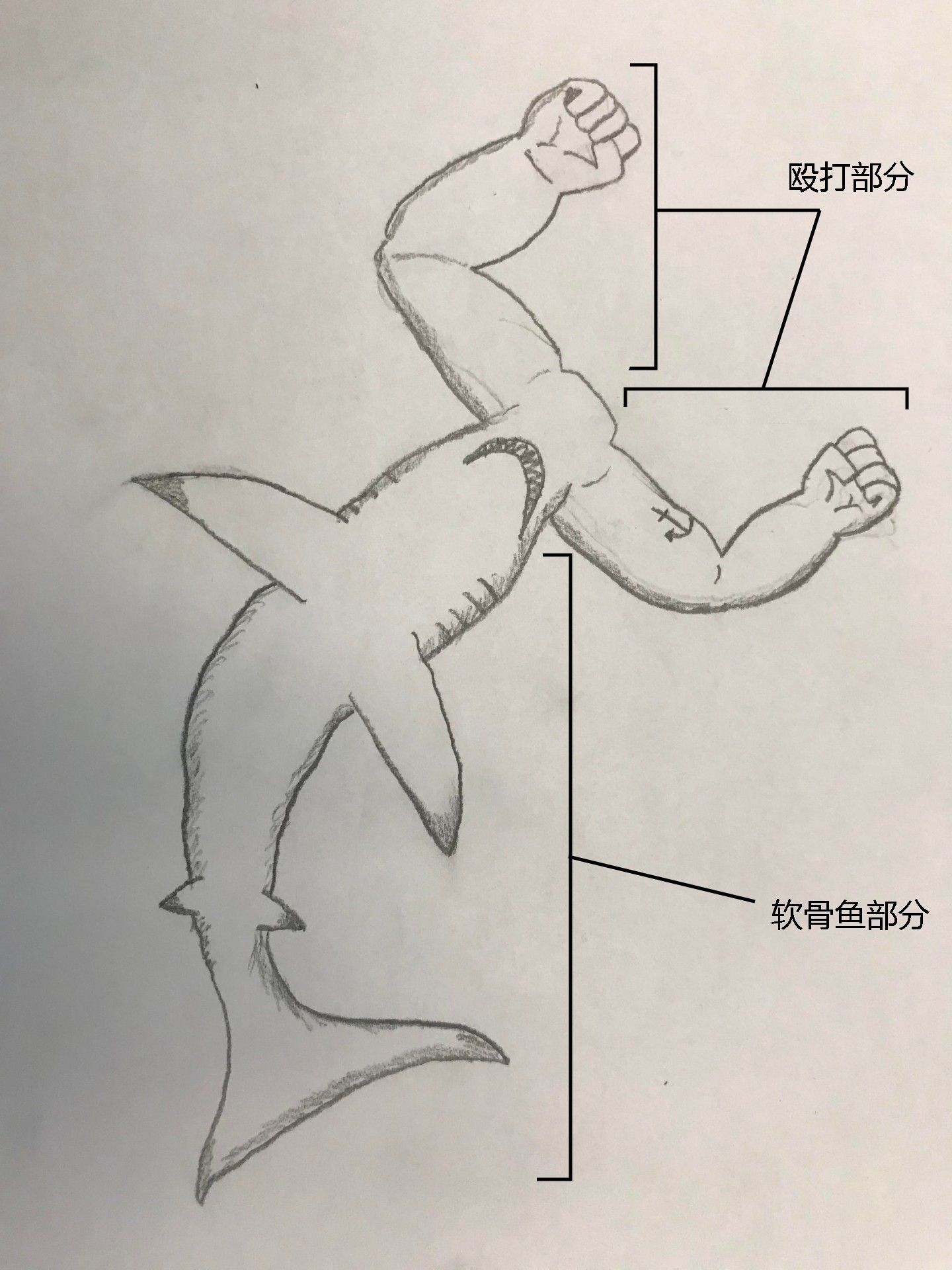 附加文件(1)