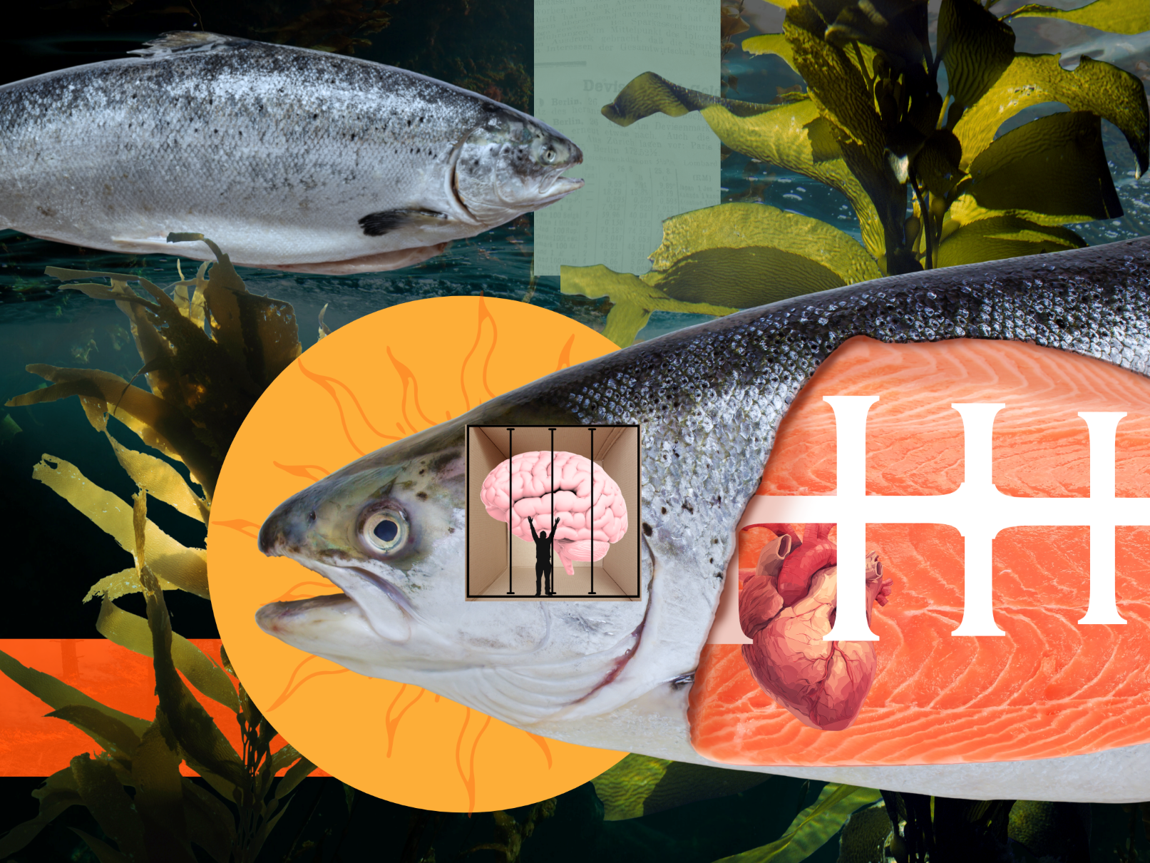 Fish dreaming of fire small.png