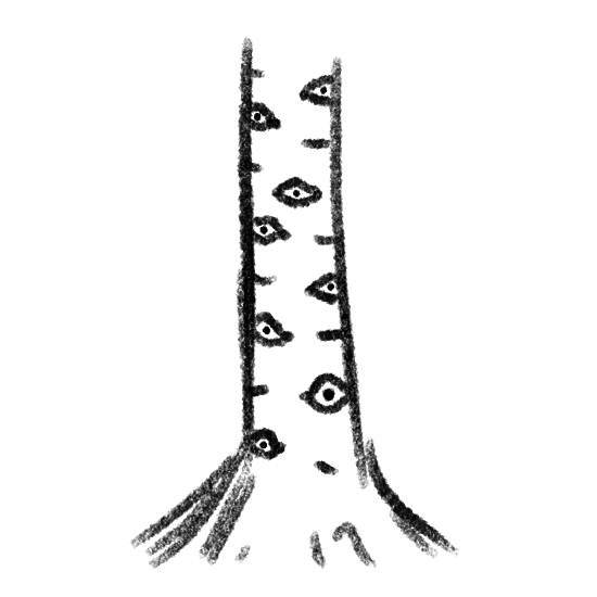 14a.png
