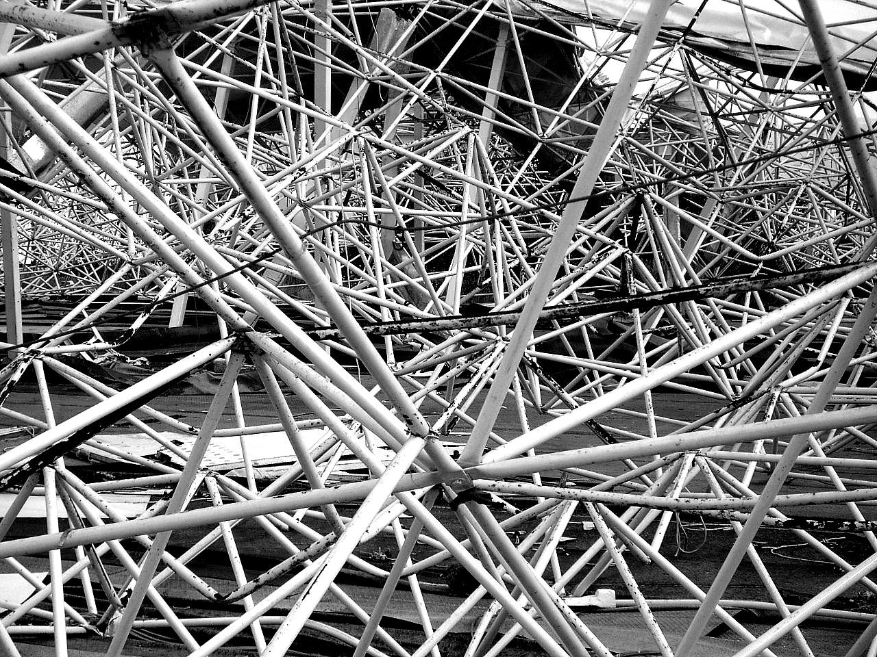 -_complexity_(1)_-_Flickr_-_nerovivo.jpg