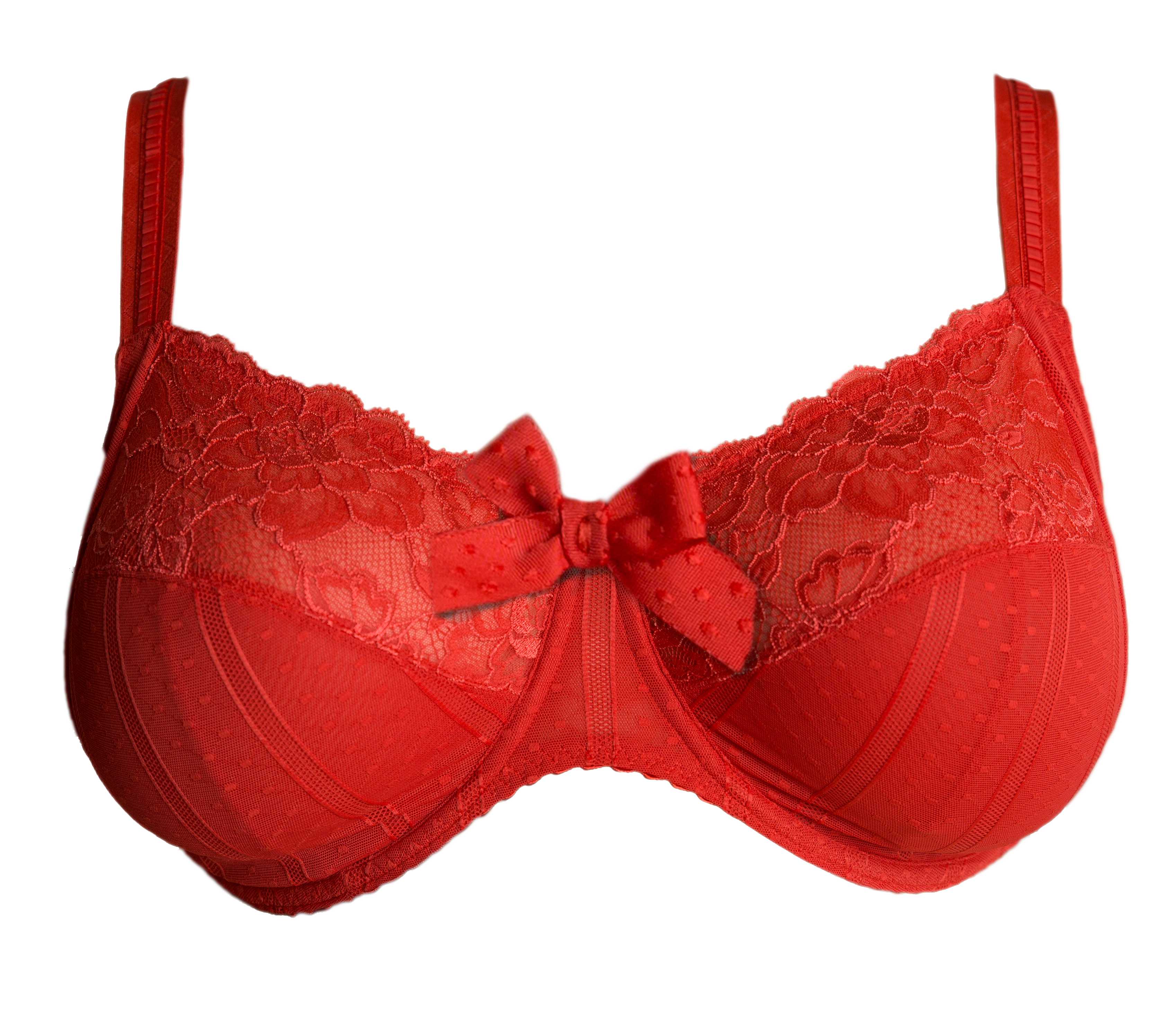 bra.jpg