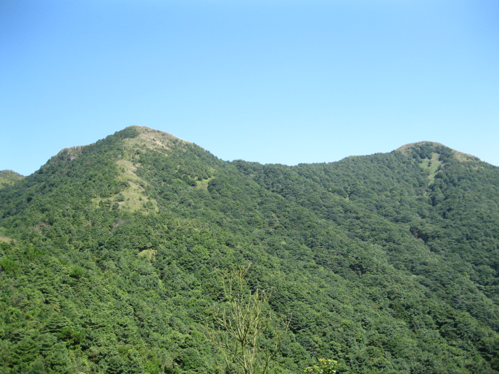 Tiantang_Peak.jpg