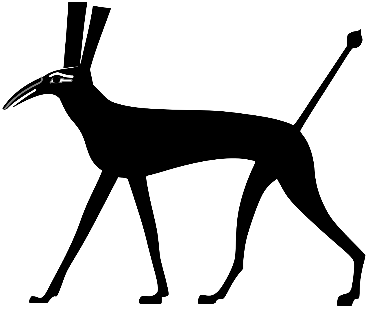 set animal