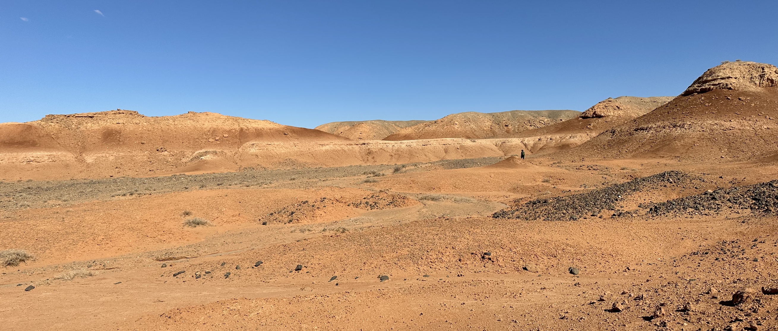 Gobi_Desert_2023_in_Ömnögovi_Province,_Mongolia_25 (1).jpg