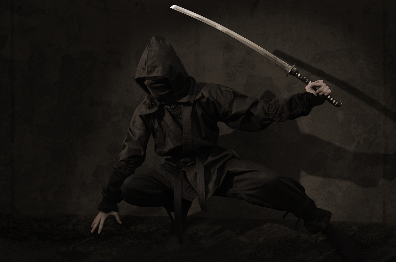 ninja-2007576_1280.jpg