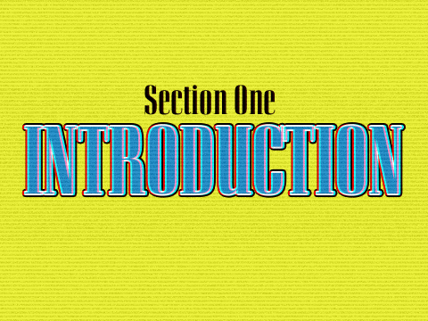 introduction.png