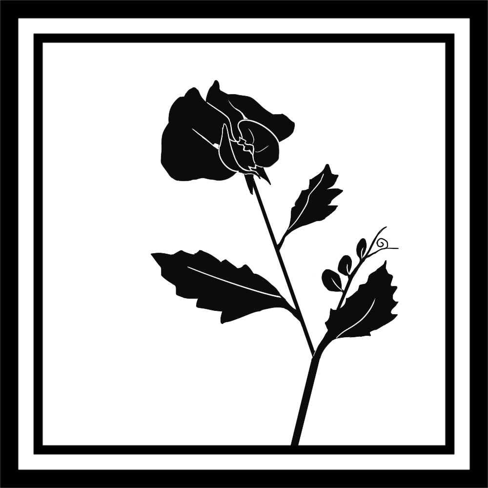 七步之花.png