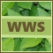 WWS.jpg