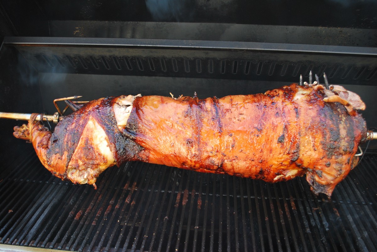 pig2.jpg
