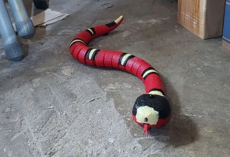 Snake.png